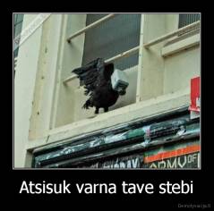 Atsisuk varna tave stebi - 