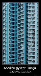 Atvykau gyvent į Kinija  - .... Tai bl** kur mano butas ?!