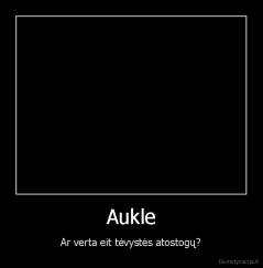 Aukle - Ar verta eit tėvystės atostogų?