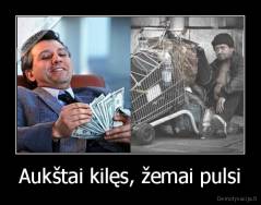 Aukštai kilęs, žemai pulsi - 