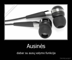 Ausinės - dabar su ausų valymo funkcija