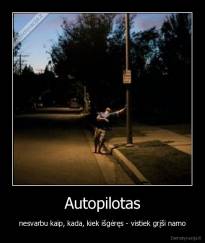 Autopilotas - nesvarbu kaip, kada, kiek išgėręs - vistiek grįši namo