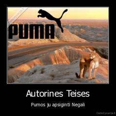 Autorines Teises - Pumos ju apsiginti Negali