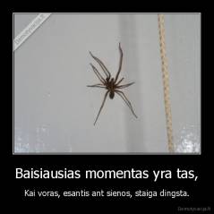 Baisiausias momentas yra tas, - Kai voras, esantis ant sienos, staiga dingsta.