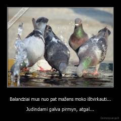 Balandziai mus nuo pat mažens moko ištvirkauti... - Judindami galva pirmyn, atgal...