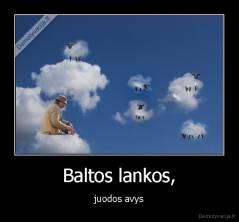 Baltos lankos, - juodos avys