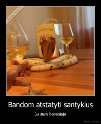 Bandom atstatyti santykius - Su savo buvusiaja