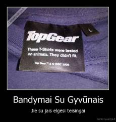 Bandymai Su Gyvūnais - Jie su jais elgėsi teisingai