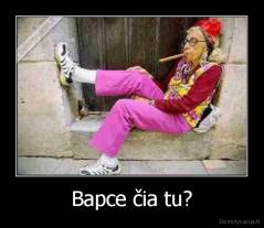 Bapce čia tu? - 