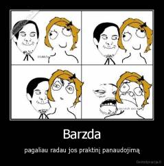 Barzda - pagaliau radau jos praktinį panaudojimą