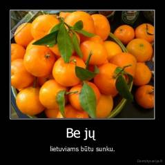 Be jų  - lietuviams būtu sunku.