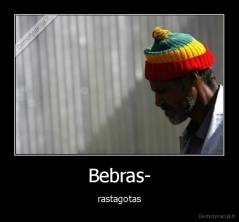 Bebras- - rastagotas