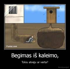 Begimas iš kaleimo, - Tokiu atveju ar verta?