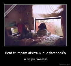 Bent trumpam atsitrauk nuo facebook'o - lauke jau pavasaris