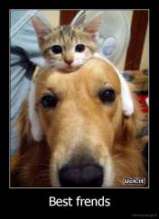 Best frends - 