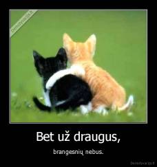 Bet už draugus, - brangesnių nebus.