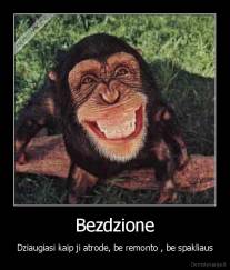 Bezdzione - Dziaugiasi kaip ji atrode, be remonto , be spakliaus