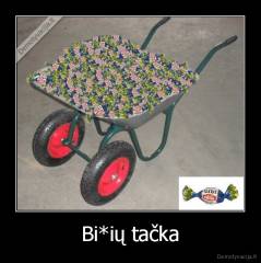 Bi*ių tačka - 