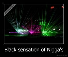 Black sensation of Nigga's - 