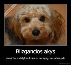 Blizgancios akys - vienintelis dalykas kuriam nepajegtum atsispirti