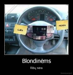 Blondinėms - Ribų nėra
