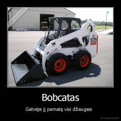 Bobcatas - Gatvėje jį pamatę visi džiaugesi  