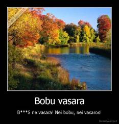 Bobu vasara - B***S ne vasara! Nei bobu, nei vasaros!