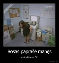 Bosas paprašė manęs - atsiųsti savo CV