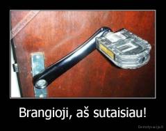 Brangioji, aš sutaisiau! - 