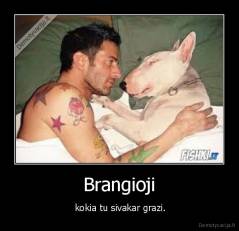 Brangioji -  kokia tu sivakar grazi.
