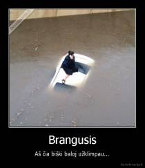Brangusis - Aš čia biški baloj užklimpau...