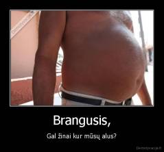 Brangusis, - Gal žinai kur mūsų alus?