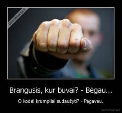 Brangusis, kur buvai? - Bėgau... - O kodėl krumpliai sudaužyti? - Pagavau.