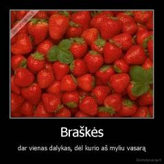 Braškės - dar vienas dalykas, dėl kurio aš myliu vasarą