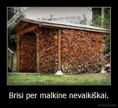 Brisi per malkine nevaikiškai. - 