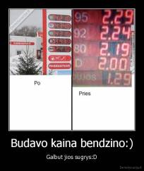 Budavo kaina bendzino:) - Galbut jios sugrys:D