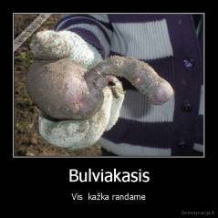 Bulviakasis - Vis  kažka randame