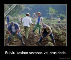 Bulviu kasimo sezonas vel prasideda - 