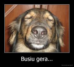 Busiu gera... - 