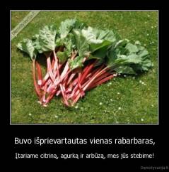 Buvo išprievartautas vienas rabarbaras, - Įtariame citriną, agurką ir arbūzą, mes jūs stebime!