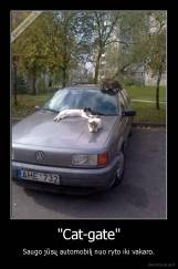 "Cat-gate" - Saugo jūsų automobilį nuo ryto iki vakaro.