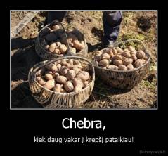 Chebra, - kiek daug vakar į krepšį pataikiau!