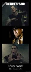Chuck Norris: - I love the way you lie