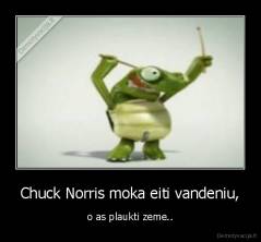 Chuck Norris moka eiti vandeniu, - o as plaukti zeme..