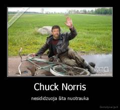 Chuck Norris - nesididzuoja šita nuotrauka