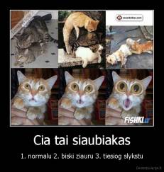 Cia tai siaubiakas - 1. normalu 2. biski ziauru 3. tiesiog slykstu