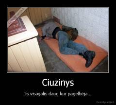 Ciuzinys - Jis visagalis daug kur pagelbėja...