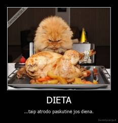 DIETA - ...taip atrodo paskutinė jos diena.