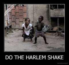 DO THE HARLEM SHAKE - 
