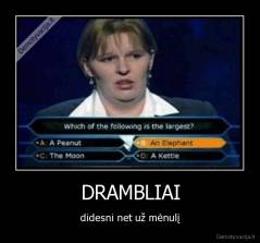 DRAMBLIAI - didesni net už mėnulį